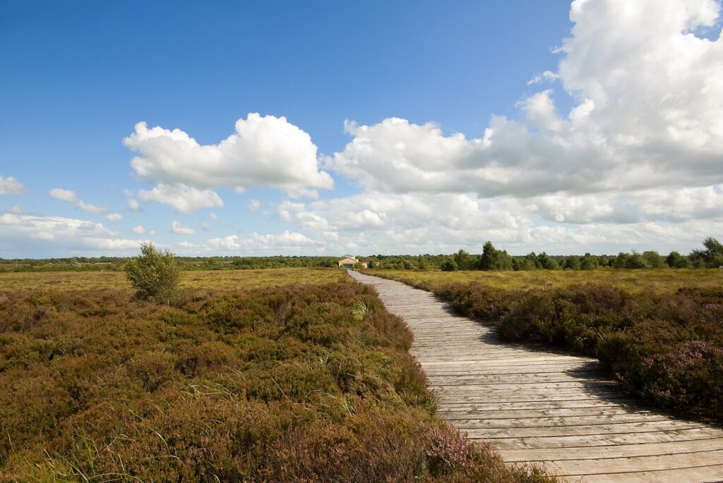 Boardwalk across Corlea Bog, Co. Longford