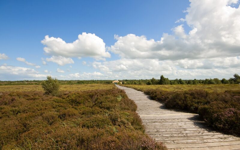 Corlea Bog Amenity Walk, Kenagh