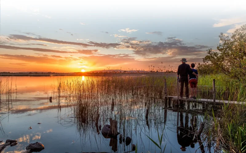 Lough Ree Boating & Walking Tours, Lanesborough