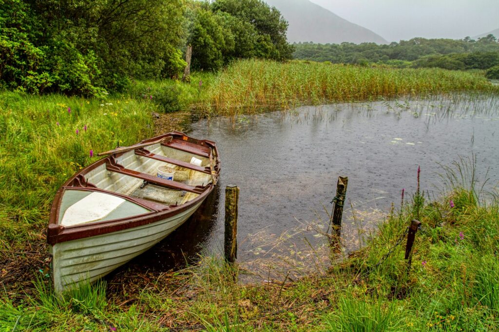Rowing boat moored among the reeds