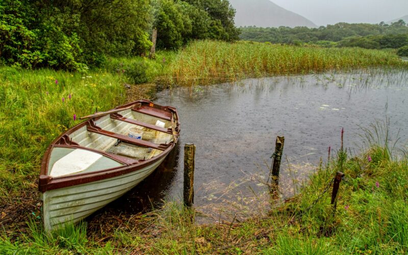 Rowing boat moored among the reeds